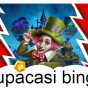 Supacasi bingo online gaming guide 